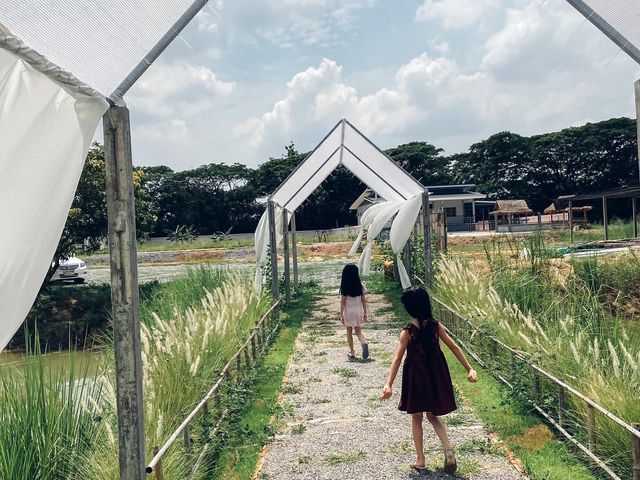 คาเฟ่ในสวน Pin Farm&Cafe @ขอนแก่น