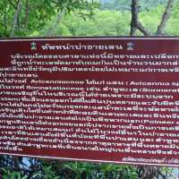 สถานีพัฒนาทรัพยากรป่าชายเลนที่ 4 เกาะช้าง