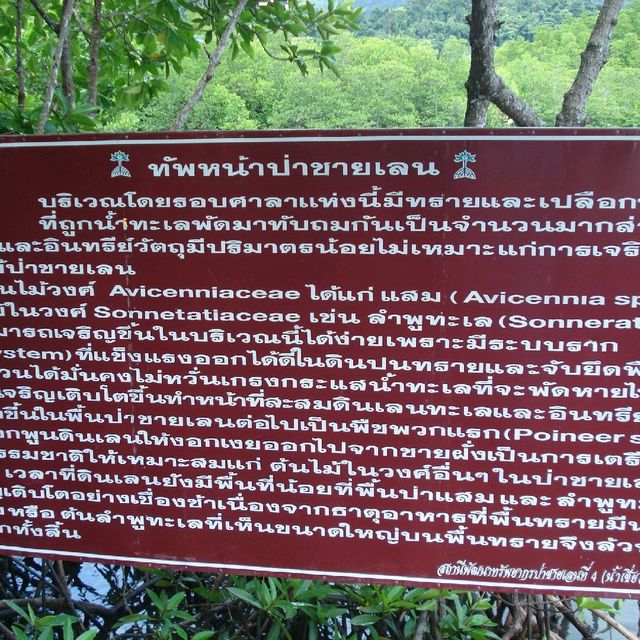 สถานีพัฒนาทรัพยากรป่าชายเลนที่ 4 เกาะช้าง