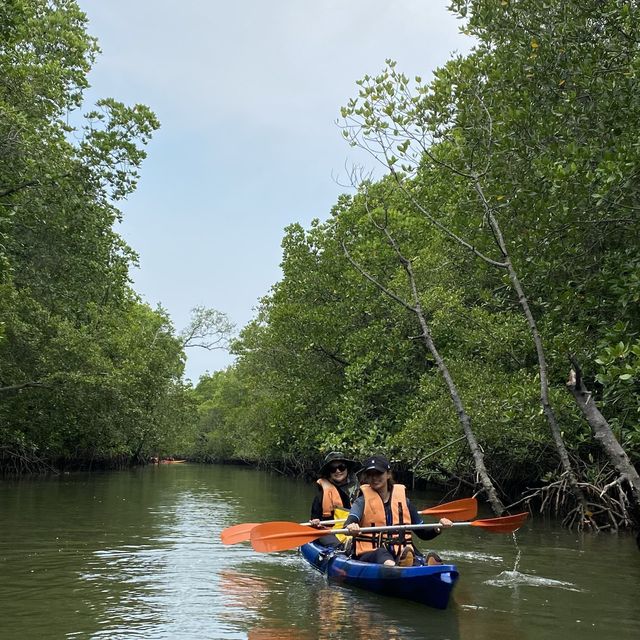 Kayak & exploring Bagan Lalang 