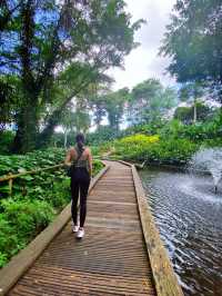 largest man-made waterfall in Jurong