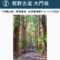 【和歌山】行ってよかった和歌山の観光地7選
