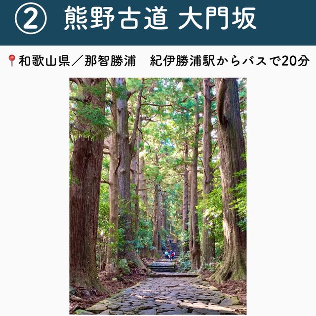 【和歌山】行ってよかった和歌山の観光地7選