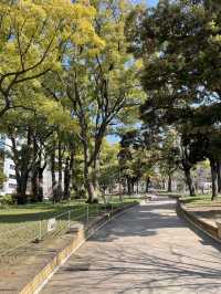 【横浜公園】
