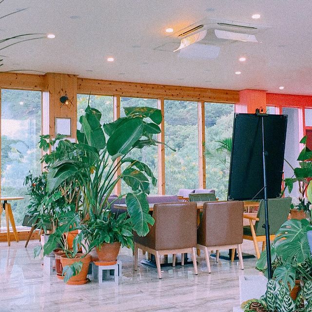부산 탁 트인 숲속 뷰가 환상적인 “Blue Mountain”⛰