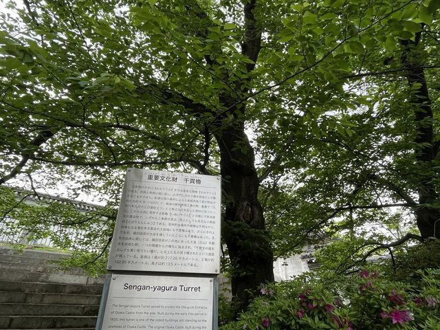 【大阪城公園】天守閣はもちろんお花見、お散歩なんでもできる