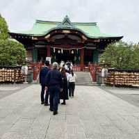 【東京】東京で藤の花といえばの名所