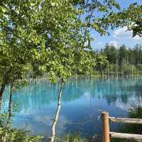 【北海道】どこを撮っても絵になる美しい池