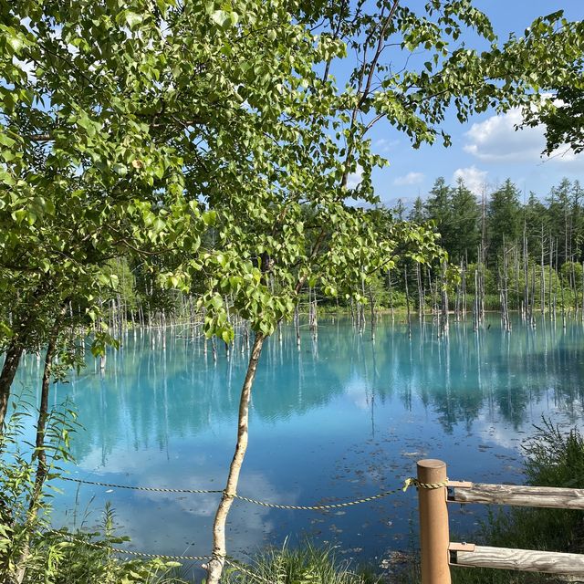 【北海道】どこを撮っても絵になる美しい池