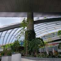 Mall and Park Concept 