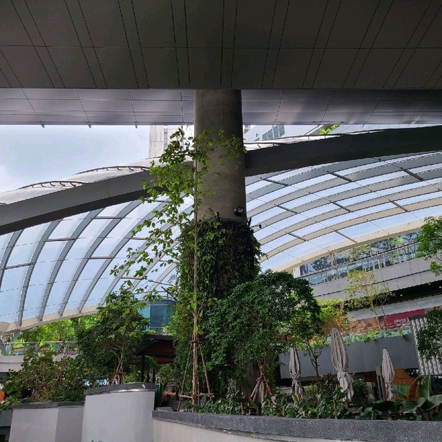 Mall and Park Concept 