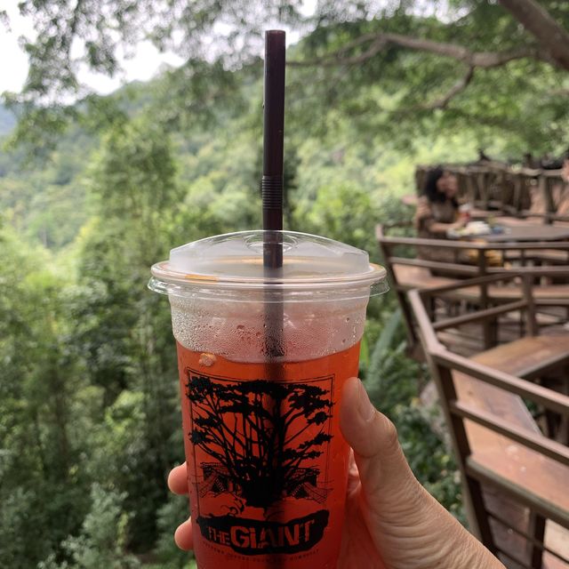 คาเฟ่บนต้นไม้ใหญ่ @the giant เชียงใหม่