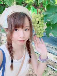 【免入場費｜即摘即食香印提子】