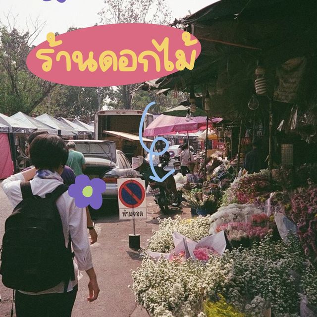 พาชม “กาดหลวง” ยามค่ำคืน ถนนช่างม่อย🚗✨