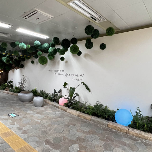 🇰🇷 CheongDam Free Zone