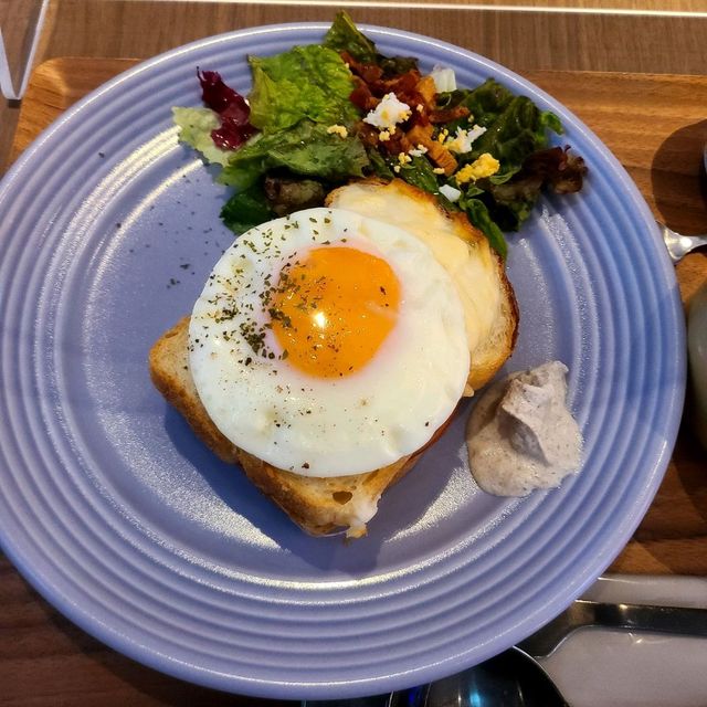 秋旅🍁 大阪/美食旅【THE LIVELY 大阪本町】✨