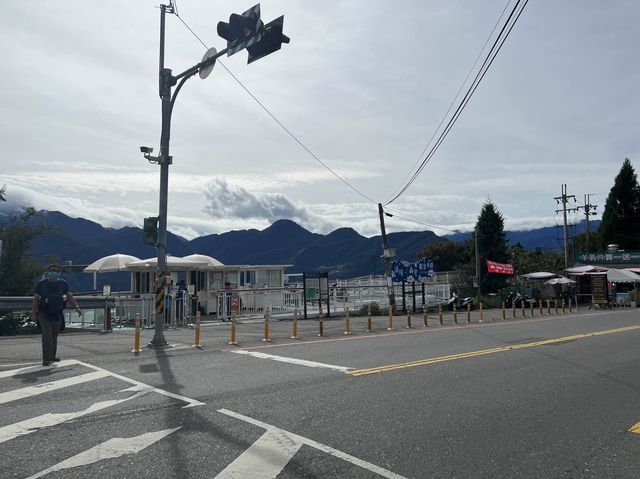 南投清境天空步道｜美麗山景+羊咩咩好可愛🐑