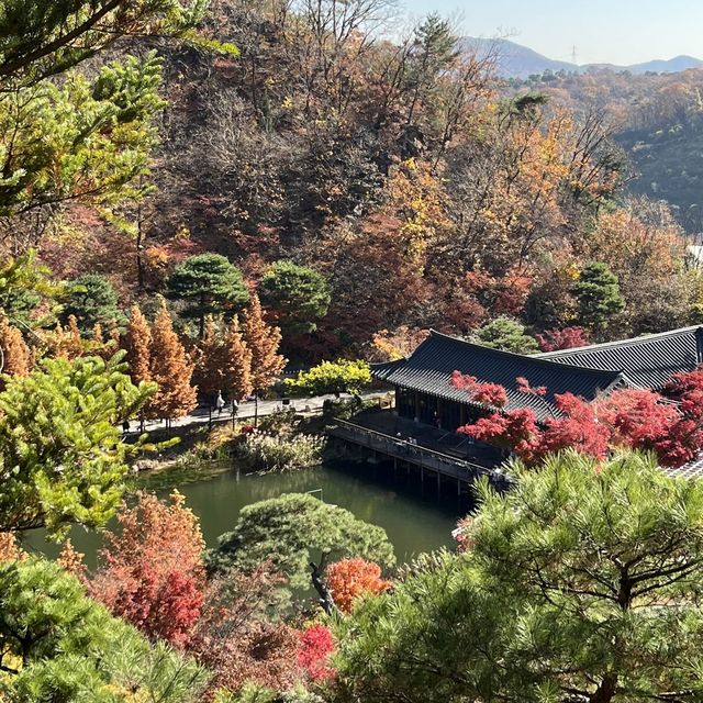 (곤지암/힐링스팟) 힐링만땅 화담숲 단풍구경🍁