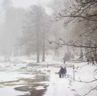 พระราชวังฤดูร้อน ในฤดูหนาว Peterhof st.peterburg