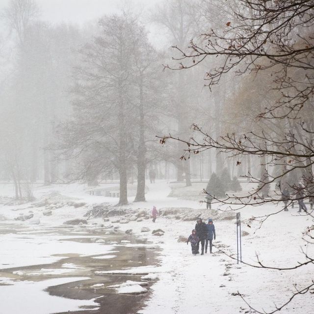 พระราชวังฤดูร้อน ในฤดูหนาว Peterhof st.peterburg