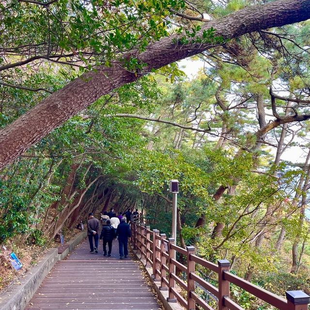 이유있는 부산 대표 여행지, 태종대