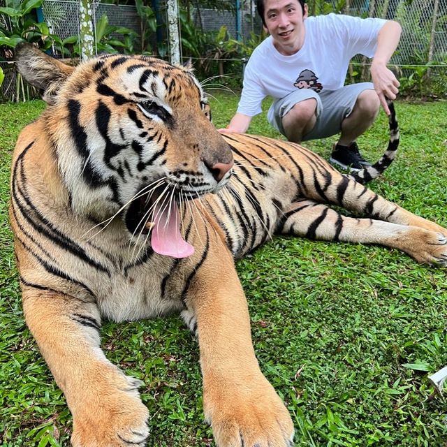 布吉島🐯樂園