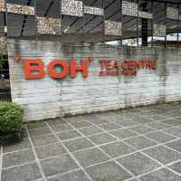 BOH Tea Center at Highlands