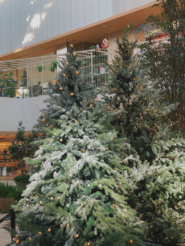 요즘 가장 핫한 크리스마스 트리 🎄