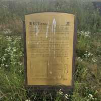 경주 황룡사 9층 목탑의 절터, 황룡사지