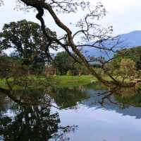 Riding Paddle Boat in Taiping Lake Gardens