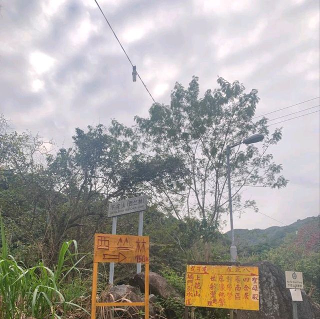 上花山，下花山！花果洞？頗有野趣！