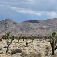 scenic view of Vegas 