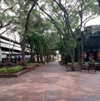 park in downtown Tampa