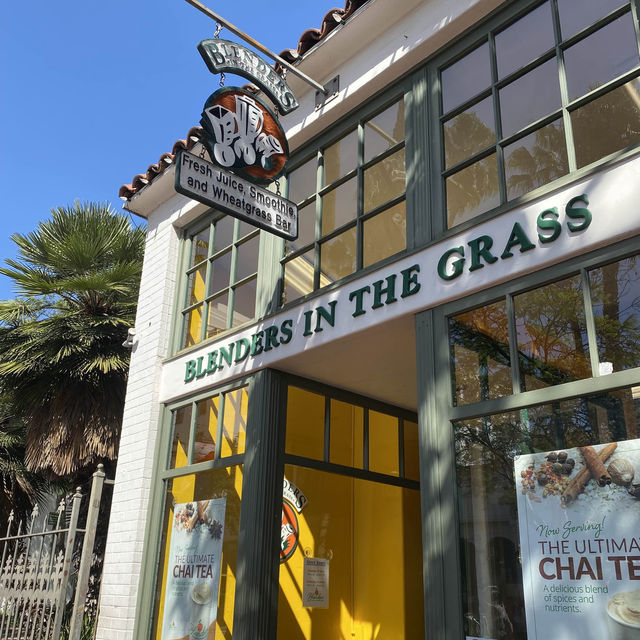 Santa Barbara Mini Vacation 🌴
