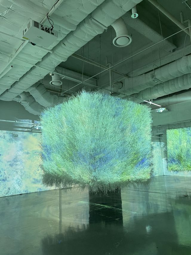 서울숲 전시회🌸 팀보타 머스타드블루 ‘탐의숲’