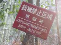 Mountain with Bamboo forest 