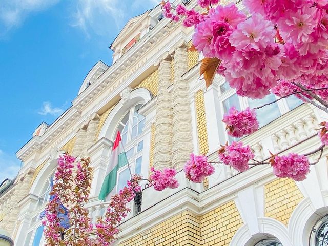 🌸 SPRING HAS SPRUNG IN MISKOLC 🌸