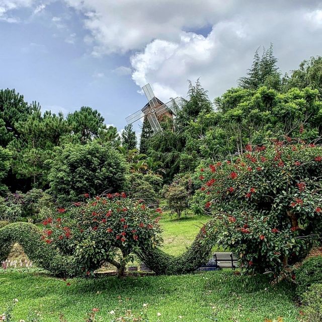 Dalat Flower Garden - Dalat, Vietnam