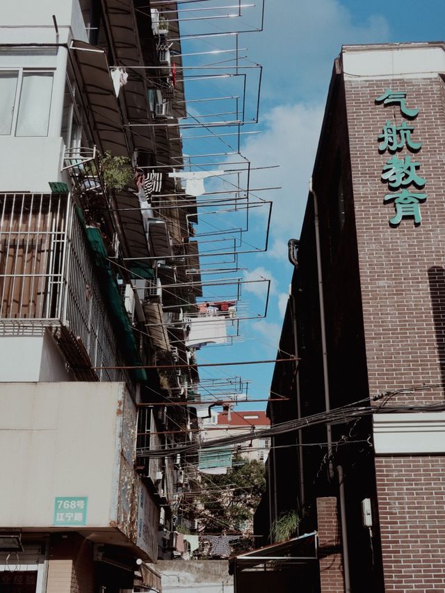 Suzhou Creek at Qufu Road, Shanghai🇨🇳🌿