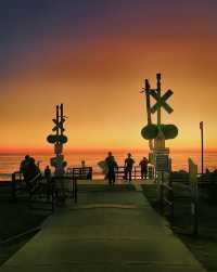 California Kamakura