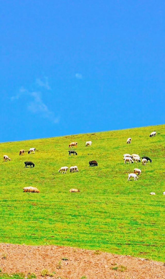 Plateau pastoral area