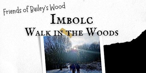 Imbolc Walk in the Woods | Bailey's Wood
