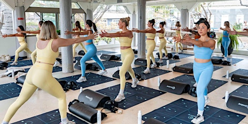 Movement with Malibu: A Summer Series | Malibu Farm San Diego