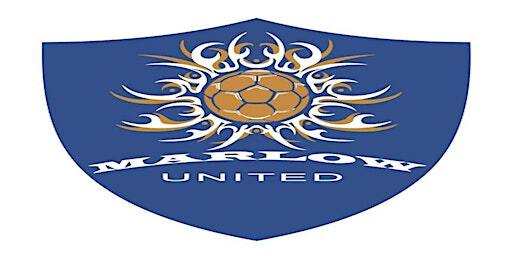 Marlow United FC Minis Summer Children's Football Tournament 2025 | The Henley Showground