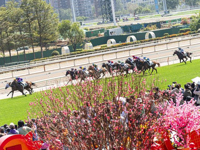 【2025走春景點】新年賽馬日 - 過年好去處農曆 | 新界沙田香港賽馬會沙田馬場
