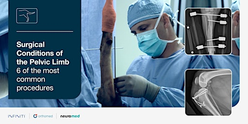 Surgical Conditions of the Pelvic Limb | Vesalius Training Centre, University of Bristol