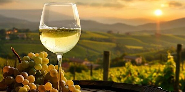 VINcabulary : Cool, Crisp, and Italian | Vessel Liquor