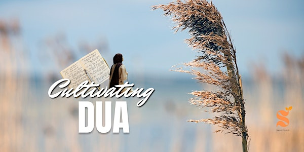 Cultivating Dua - An Immersive Experience | Brockholes Nature Reserve