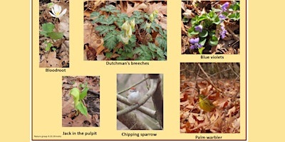 Van Cortlandt Nature Group Walk | Van Cortlandt Park Nature Center