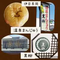 【伊豆長岡】黒柳